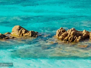 پوستر دیواری طرح دریا کد d111-3